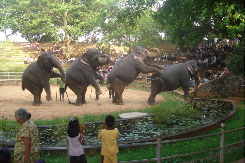 Sri Lanka, Colombo, Dehiwala Zoo